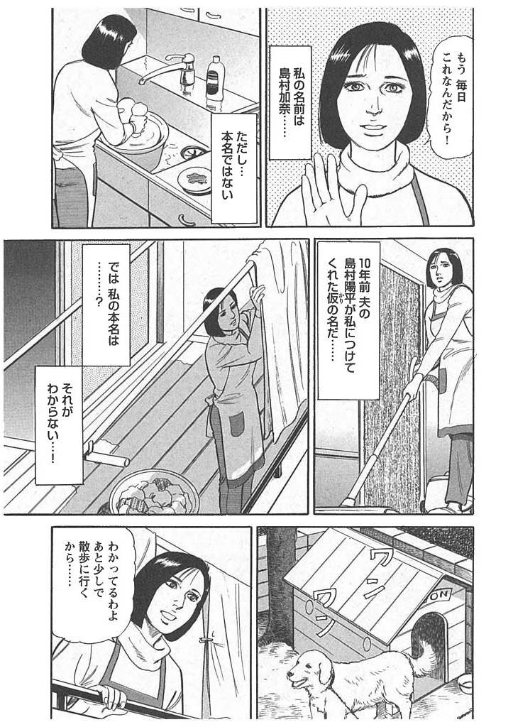 󂳂ꂽEӂ̃Tv摜3