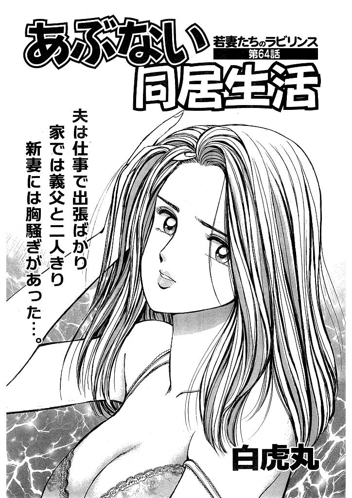 若妻たちのラビリンス(64) あぶない同居生活